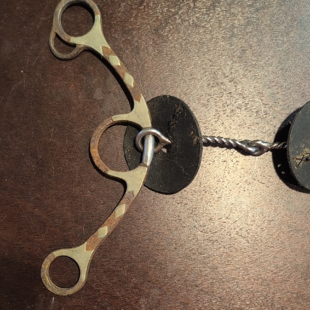 Sherry Cervi Long Shank Bit